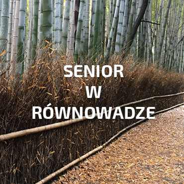 KAIZENsenior_doWWW KAIZENsenior_doWWW