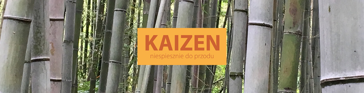 banerKAIZEN_www1 banerKAIZEN_www1